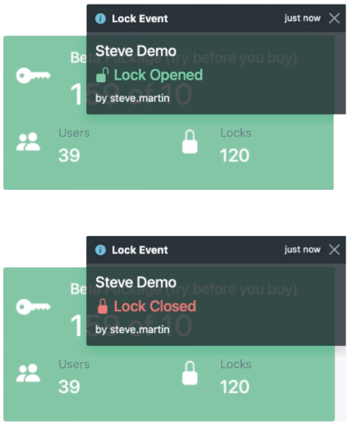 CAMACTIVE Portal - lock notifications